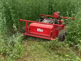 ?？馗畈菟椴菪Ч?></div>
                                                <div   id=